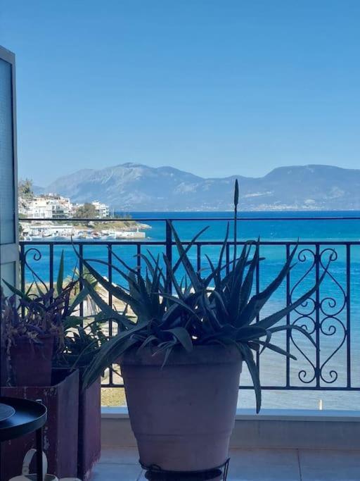 Bright Central Apartment With Splendid Sea View! Chalkís Exteriér fotografie